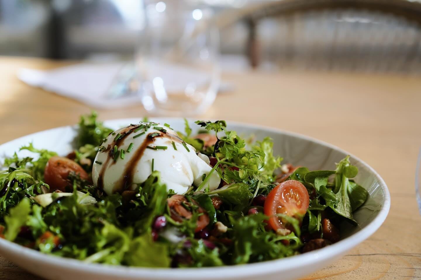 Burrata sur salade