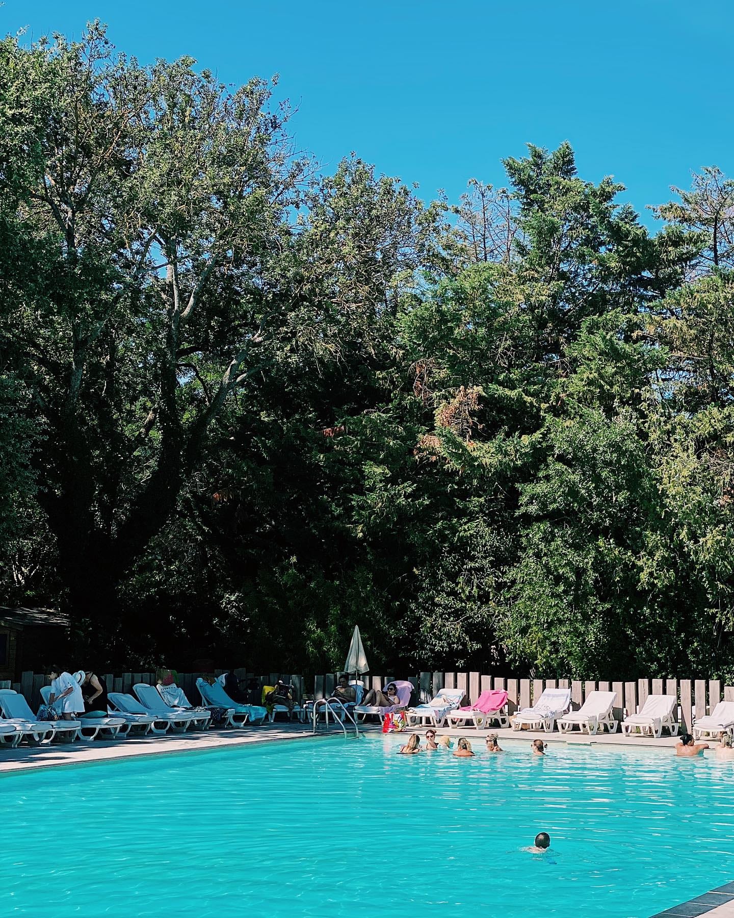 Piscine sous les arbres, ambiance estivale